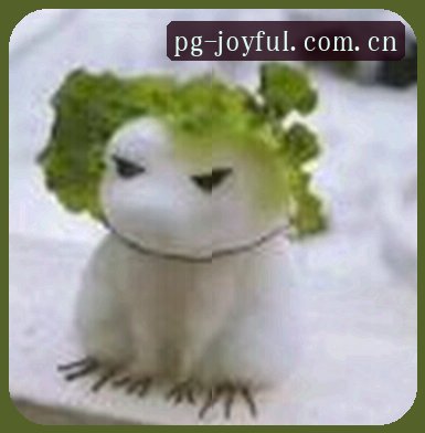 琳琳